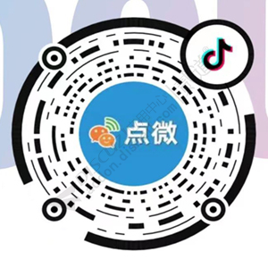 [点微]抖音小程序 4.0插件(tom_dyfenlei)-1