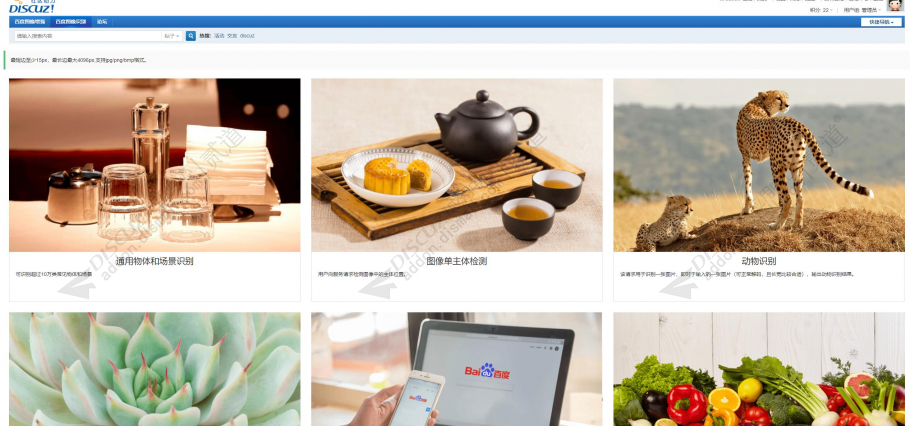 百度AI之图像识别 百度AI之图像识别PC+手机版v1.3(youyacao_imgrecognition)-1