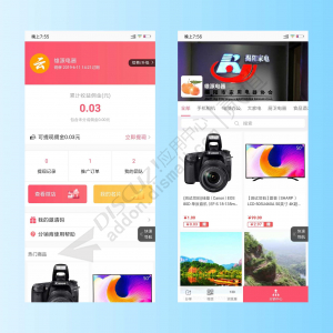 [亮剑]微分销商城 2024081301(aljsfx)-1